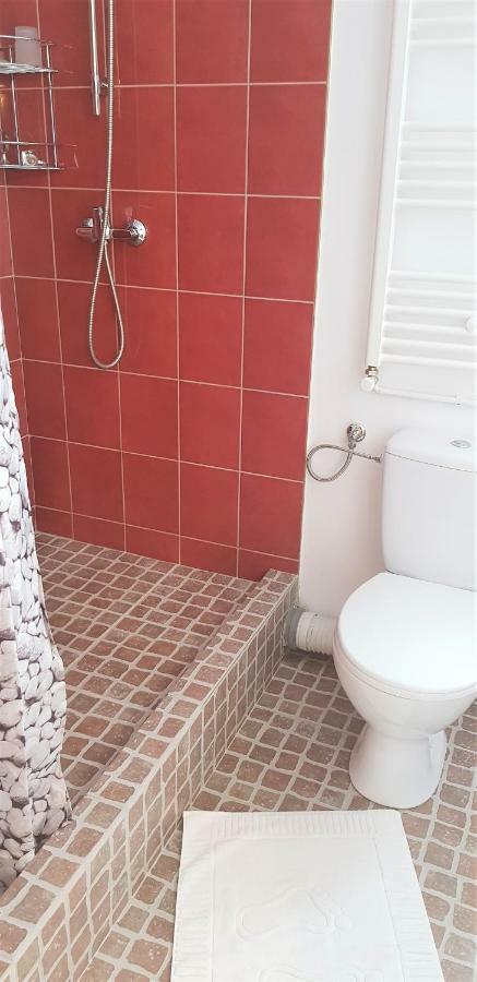 クルージュ＝ナポカCoroian Houseアパートメント エクステリア 写真